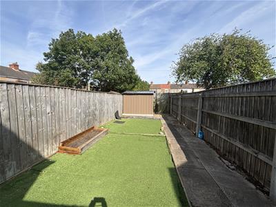 Picture 8